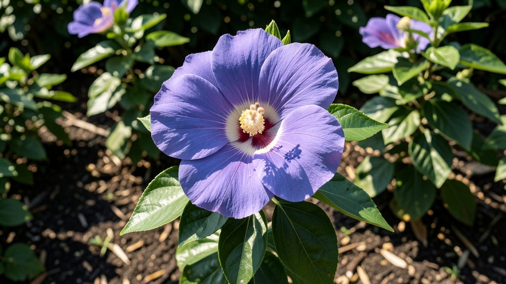 Largest Hibiscus Flower: How to Grow Giant Varieties Up to 18 Inches